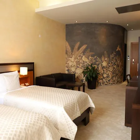 ホテル Boutique Dubna Skala 4*