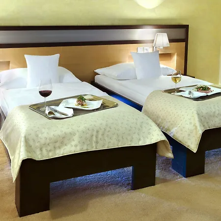 מלון Boutique Dubna Skala 4*